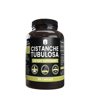 PURE ORIGINAL INGREDIENTS Cistanche Tubulosa (365 Capsules) No Magnesium Or Rice Fillers Always Pure Lab Verified 365 Count (Pack of 1)