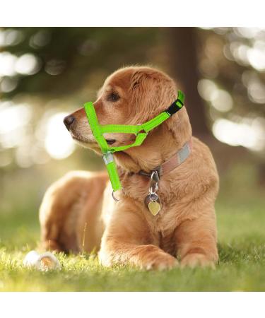 OHVEECA Dog Head Collar to Prevent Pulling Adjustable Soft Fabric Padded Dog Head Harness with Reflective Strap Dog Head Halter for Training Guide(M Green) - Buy Online on GoSupps.com