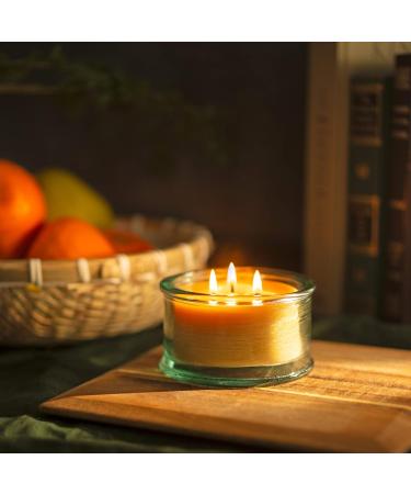 Buy Bluecorn Botanica Beeswax Candle - 3-Wick Pure Beeswax & Vanilla Scented Candle | International Shipping Available - Buy Online on GoSupps.com