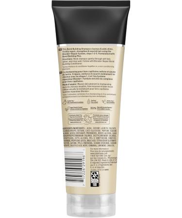 John Frieda Blonde+ Repair System Bond Building Shampoo| STEP 2 | Repairs Strengthens and Nourishes Blonde Damaged from Lightening 250mL - Buy Online on GoSupps.com