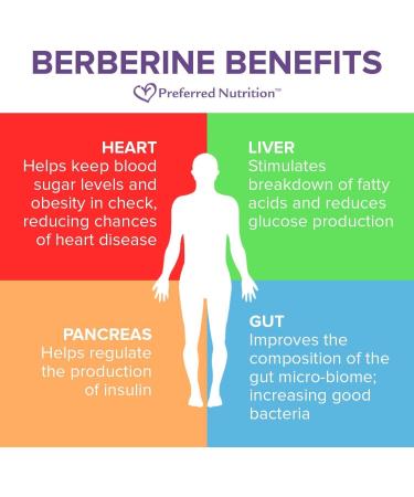 Preferred Nutrition Berberine Supplement | Maintain Healthy Glucose Metabolism & Cardiovascular Health | 500 mg (3) - Buy Online on GoSupps.com