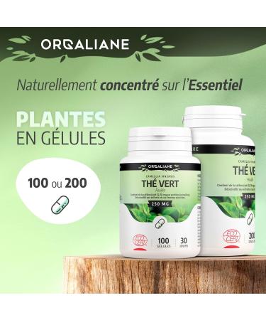 Organic Green Tea 250 mg - 100 Capsules - Ecocert Certified - Orgaliane - Buy Online on GoSupps.com
