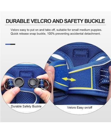 Suredoo Dog Harness with Leash - Anti-Train Reflective Chest Harness for Small Dogs & Cats (Lapis Blue Size L) - Buy Online on GoSupps.com