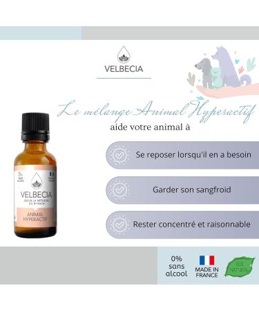 Animal hyperactif 50ml +1 OFFERT Elixirs de fleurs SANS ALCOOL - M thode du Dr Bach - Calmer apaiser canaliser votre chat chien avec s r nit  - Buy Online on GoSupps.com