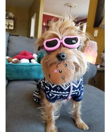 CocoPet Adorable Dog Goggles - UV Protection Waterproof Sunglasses for Small Medium Dogs - Pink - Buy Online on GoSupps.com