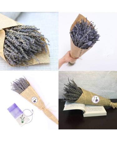 TooGet Natural Lavender Bundles - 400+ Stems Dried Lavender Bunch for Home Decor, Crafts, Wedding - 16-18 Long - Buy Online on GoSupps.com