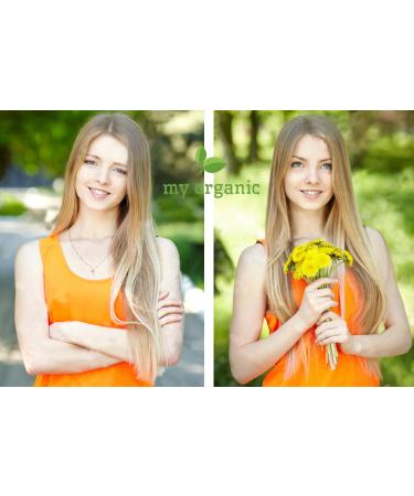 Buy My Organic Hair Defection Spout - 100% Natural & Vegan Hair Color - 26g - Immediate Effect for Medium Blonde Shades - Buy Online on GoSupps.com