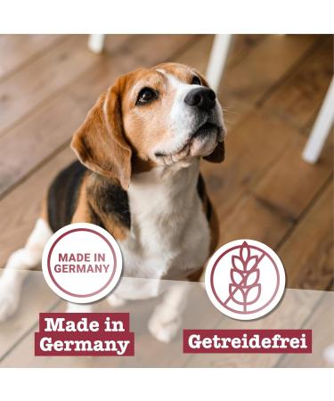100% Horse Meat Mini Dog Treats - Hypoallergenic Grain-Free Snack for Small Dogs - 70g D rrfleisch - Buy Online on GoSupps.com