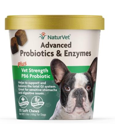 Veterinarian Strength Advanced Probiotics Healthy Enzymes & PB6 Probiotic Supplement & Urinary Health Supplement Soft Chews for Dogs Healthy Bladder & Urinary Tract Support 70 Count (Pack of 1) Probiotic Supplement + Nutritional Assorted - Buy Online on GoSupps.com
