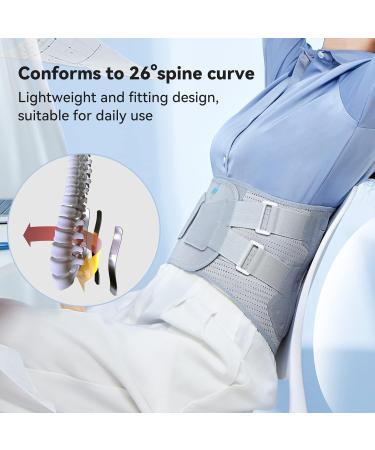 Back Braces for Lower Back Pain | Support Belt for Herniated Disc & Sciatica | Breathable Lumbar Brace for Men & Women - Buy Online on GoSupps.com