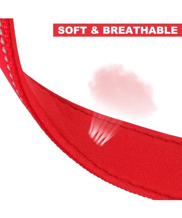 PCOTLLAR Padded Reflective Dog Collar - Adjustable Soft Neoprene for Small & Large Dogs (50-60cm) - Durable Red Dog Collars for All Breeds - Buy Online on GoSupps.com