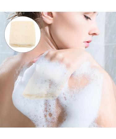 NOLITOY Natural Loofah Sponge - Exfoliating Body Scrubber for Men & Women | Egyptian Luffa for Bath & Shower - Buy Online on GoSupps.com