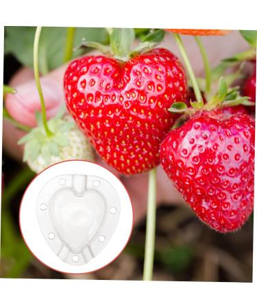 SUPVOX Fruit Growth Molds 5pcs Fruit Shaping Mold Gardening Supplies Vegetable Plastic Vegetable Mold - Buy Online on GoSupps.com