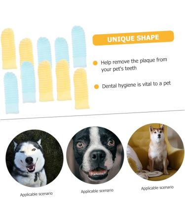 BESPORTBLE 40 Pcs comfortable toothbrush for dogs pet toothbrush and toothpaste single use toothbrush 1 count (Pack of 1) As Shownx4pcs - Buy Online on GoSupps.com