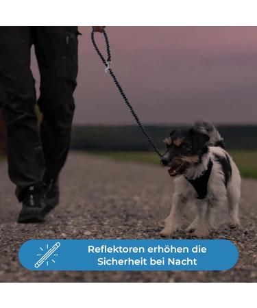 Premium 2m Adjustable Dog Leash - Reflective Weatherproof & Tearproof for Small to Large Dogs (15kg+) - Durable Paracord Design - Buy Online on GoSupps.com