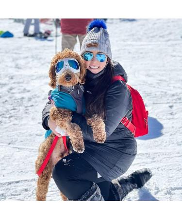 Petcute Dog Sunglasses - UV Protection & Adjustable Strap for Large & Medium Dogs | Outdoor Pet Accessories - Buy Online on GoSupps.com