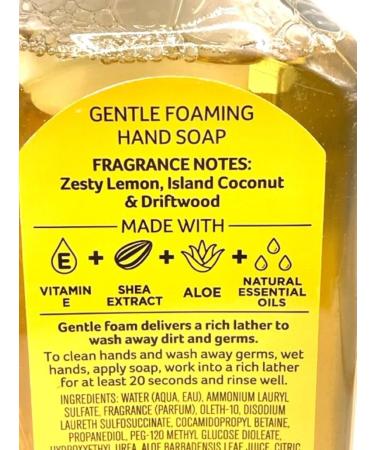 Buy Kitchen Lemon Honolulu Sun Gentle Foaming Hand Soap 8.5oz - Premium International Shipping Available - Buy Online on GoSupps.com