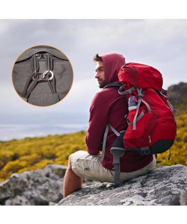 20-Piece Stainless Steel S-Carabiner Keychain Set | Locking Carabiner Hooks for Outdoor Fishing Camping & Hiking - Buy Online on GoSupps.com