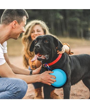 Foldable Dog Bowl Set - Portable 2-Piece Water & Food Bowls for Travel | Ideal for Cats & Dogs (350ml) - Buy Online on GoSupps.com