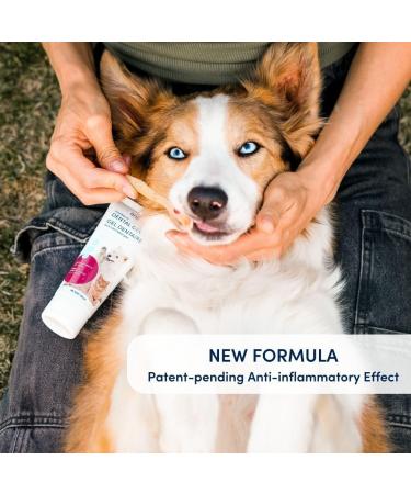 Animora Cranberry Dental Gel (90ml) - New Formula - Toothpaste for Dogs and Cats - Improves Oral Health Prevents Bad Breath and Dental Plaque Buildup 90 ml (Pack of 1) - Buy Online on GoSupps.com