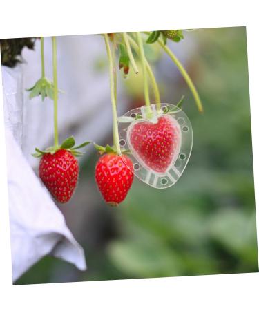 VANZACK Fruit Shaping 4pcs Heart Transparent Fruit Garden Strawberry Forming Jujube Major Melon - Buy Online on GoSupps.com