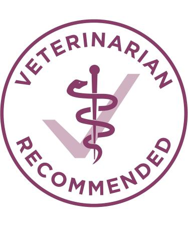 Purina ONE +Plus Dry Puppy Food with Lamb - 12 kg Bag 12 kg (Pack of 1) Dog Food - Buy Online on GoSupps.com