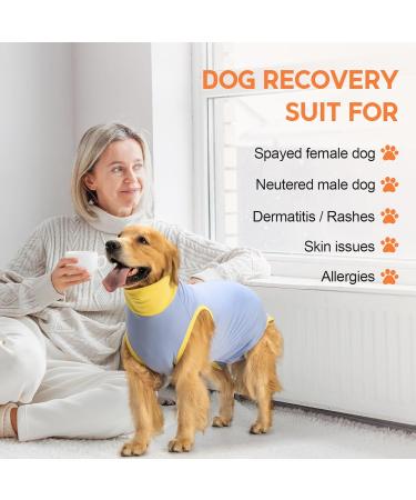 Avont Dog Recovery Suit - Postoperative Wound Protection for Neutered Males & Bitches - Blue (3XS) - Prevents Leak & Ensures Comfort - Buy Online on GoSupps.com