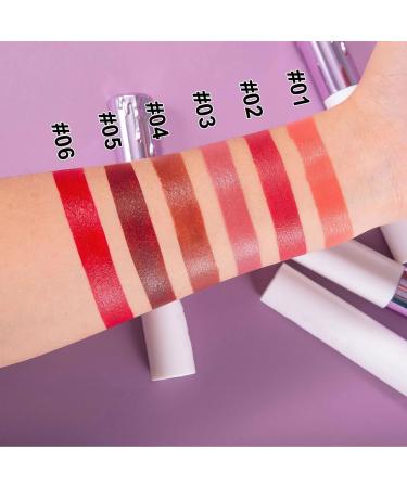 CHAKAE Long Lasting Waterproof Moisturizing Liquid Lipstick Rich Pigmentation for Various Occasions - Buy Online on GoSupps.com