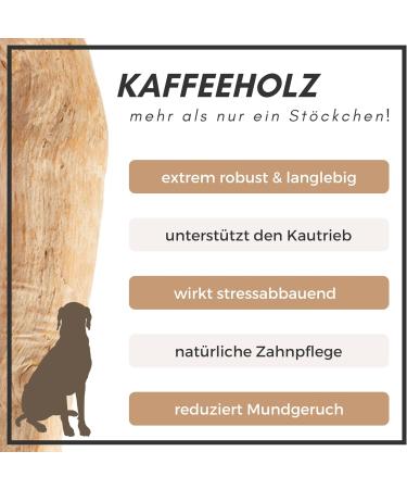 Supravit Natural Coffee Wood Chewing Bones for Dogs | Long-Lasting Play & Chewing Fun | Caustab Quality Dog Chew Toys - Buy Online on GoSupps.com