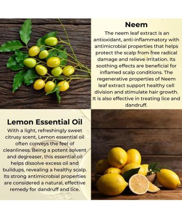 Ayumi Bio Active Scalp & Hair Oil Nourishes & Moisturizes Follicles. Revitalizes Hair & Scalp Minimizes Itching & Reduces Dandruff 1 x 150ml - Buy Online on GoSupps.com