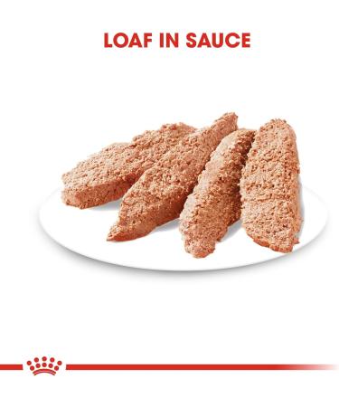 Royal Canin Light Weight Care Wet Adult Dog Food 85g (Pack of 12) Meat 85 g (Pack of 12) - Buy Online on GoSupps.com