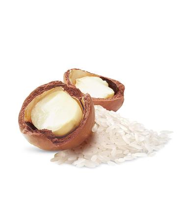 Dove Whipped Macadamia and Rice Milk Body Cream 10 oz - Luxurious Moisturizing Formula - Buy Online on GoSupps.com