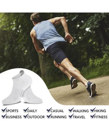 ACTINPUT Men's Anti-Blister Athletic Performance No Show Running Socks 7 Pairs - White, Size L-XL - Buy Online on GoSupps.com
