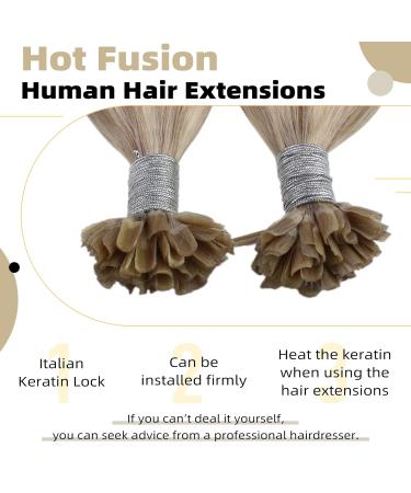 UGEAT Keratin Bonding Ash Blonde Highlight Hair Extensions 50g U Tip 16 inch (40cm) Real Human Hair 50 pcs #18P613 Brazilian Quality - Buy Online on GoSupps.com