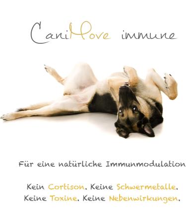 Buy Canimove Sparbundle Immune Mini & Senior Mini - 100 Capsules Each | Veterinary Supplement for Small Senior Dogs | Fast International Shipping - Buy Online on GoSupps.com
