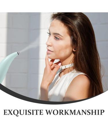 BATHVEVE Handheld Oxygen Injection Facial Mister Mist Sprayer Portable Face Steamer for Women Use - Buy Online on GoSupps.com