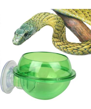 Mipcase 2pcs Tools Tortoise Water Dish Reptile Supplies Pet Stuff Reptile Feeder Sucker Turtle Pet Supplies - Buy Online on GoSupps.com