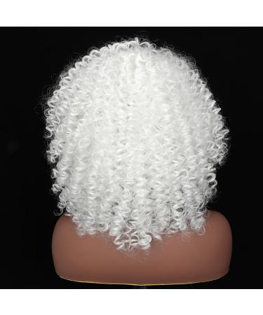 Shop Colorfulpanda Afro Kinky Wigs for Women | Short Wavy Synthetic Wig - Naturally Curly & Stylish - Buy Online on GoSupps.com