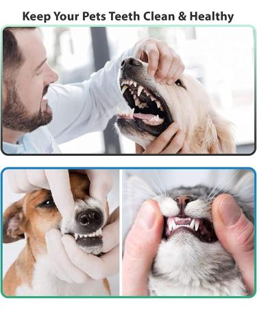 Dental Cleaner Tool Kit - Home Dental Care - Pink - Buy Online on GoSupps.com