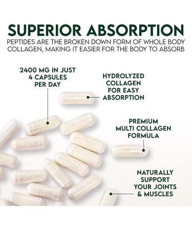 Multi Collagen 2400mg - Advanced Formula Types I II III V X - Hydrolyzed Multi Collagen Pills - Collagen Peptides Supplements for Women & Men - Hair Skin & Nail Support Supplement - 60 Capsules 60 Count (Pack of 1) - Buy Online on GoSupps.com