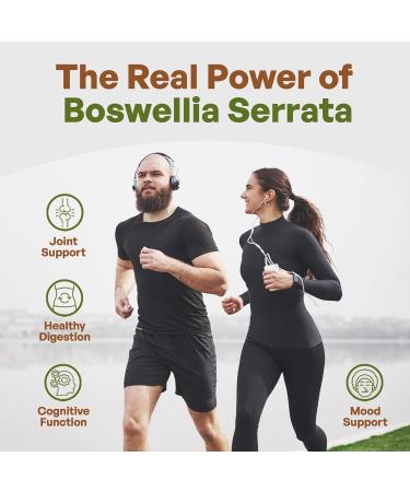 Go Nutra Boswellia Serrata Extract Powder 10:1 Strength 65% Boswellic Acid Frankincense Supplement Joint Support - 8 oz. - Buy Online on GoSupps.com