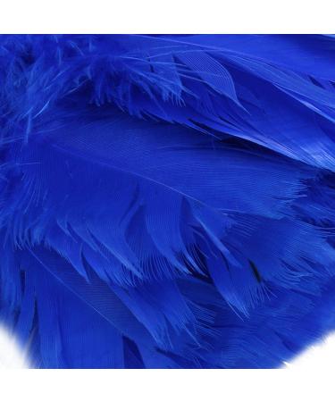 tesrgre 1pc Fashion Turkey Duster with Black Plastic Handle Cleaning Tool(blue) 35cm - Buy Online on GoSupps.com