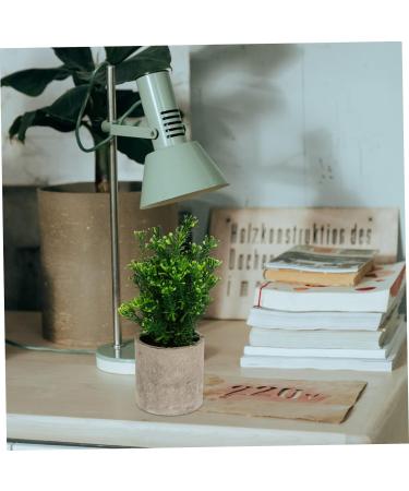 Ciieeo 4 Pcs Simulated Potted Plant Plastic Plant Pots Fake Eucalyptus Plant Tiny Fake Plants Fake Green Plant Simulation Plant Fake Plant Decor Pulp Potted Plants Rosemary Green Plants As Shownx4pcs 21.5x8cmx4pcs - Buy Online on GoSupps.com