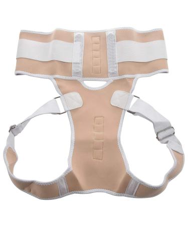 Jalzdieod Orthopedic Back Support Magnetic Posture Corrector-L 243224A2 - Buy Online on GoSupps.com