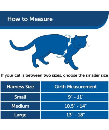 PetSafe Come with Me Kitty Harness & Bungee Leash - Adjustable Cat Harness for Large Cats | Black/Silver & Black/Beige - International Shipping Available - Buy Online on GoSupps.com
