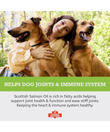 Scottish Salmon Oil for Dogs UK - 500ml | 100% Natural Omega 3, 6 & 9 Fish Oil | Dog Supplements - Canine Ketchup - Buy Online on GoSupps.com
