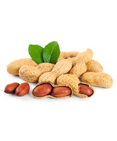 Fruidles Raw Peanuts  Raw Peanuts in Shell  Great for Boiling  Squirrels Feed  Birds Feed and Wildlife  3.5LB Bag (2-Pack) - Buy Online on GoSupps.com