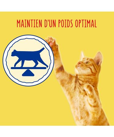 FRISKIES With Beef Chicken and Vegetables - 1.5 kg - Dry Food for Adult Cats - Buy Online on GoSupps.com