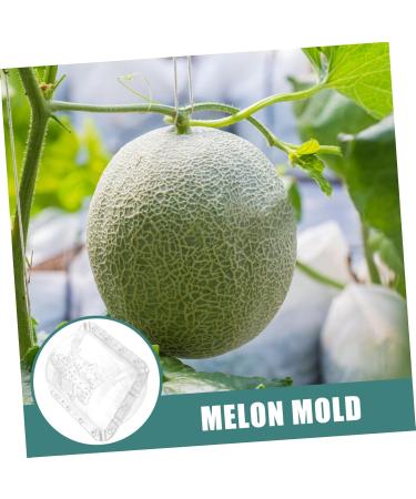 SUPVOX 2pcs Fruit Shaping Fruits Clear Creative Melon Shaper Stereotypes - Buy Online on GoSupps.com