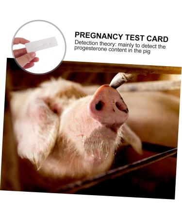 minkissy 4 Pcs Pregnant Tester Animal Clothes for Ferrets Sow Pregnancy Test Strips Sow Pregnancy Tester Pig Pregnancy Test Strip Farm Supply Plastic White High Precision Accessories Whitex2pcs 1 count (Pack of 1) - Buy Online on GoSupps.com
